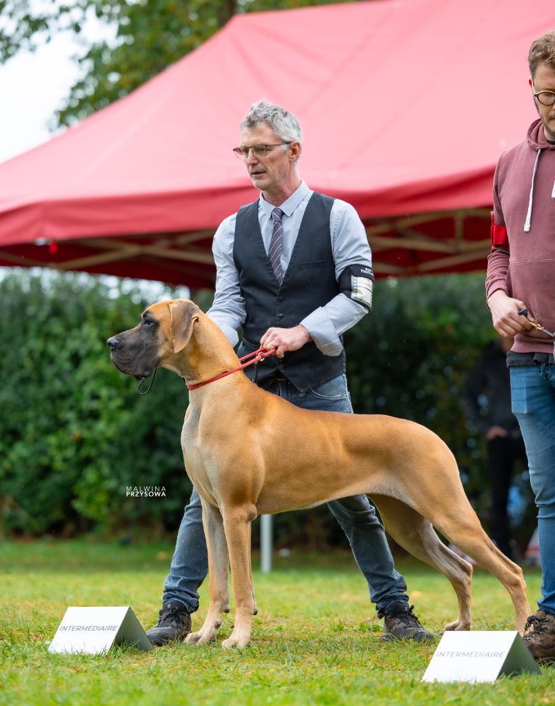 J.ch variation sur marilou Du Val De Celle