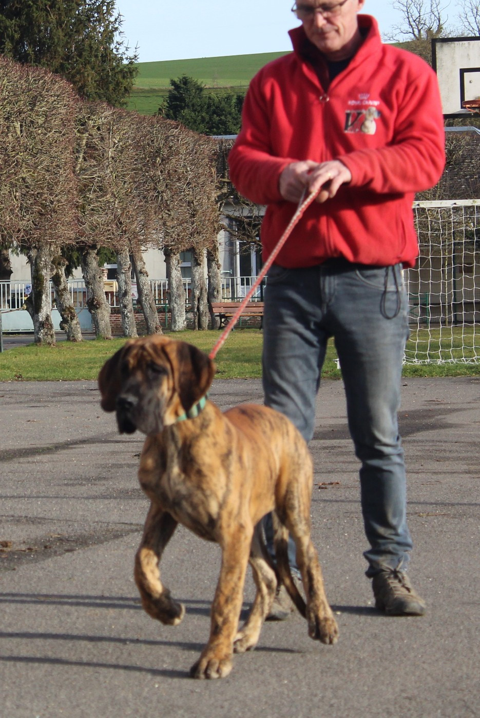 Authentique Du Val De Celle
