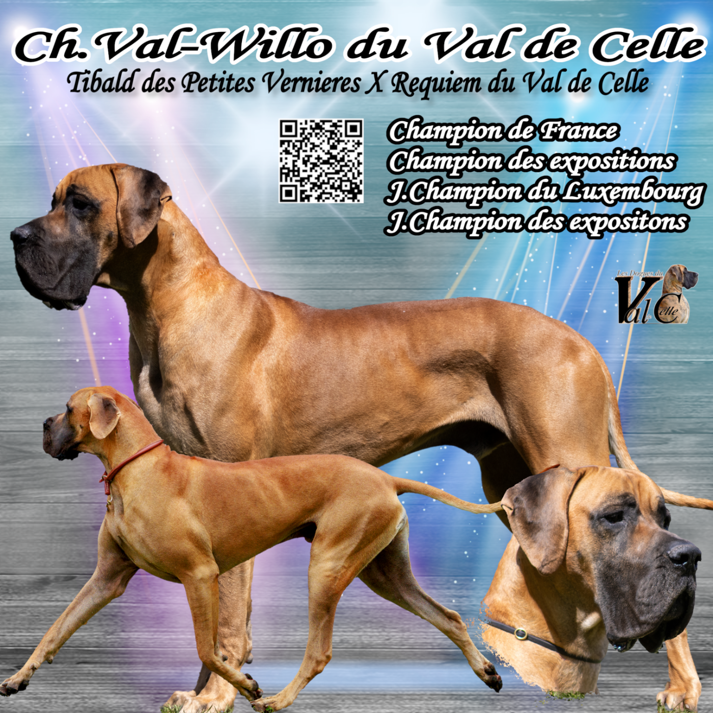 CH. Val-Willo Du Val De Celle